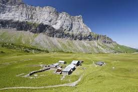 anterne