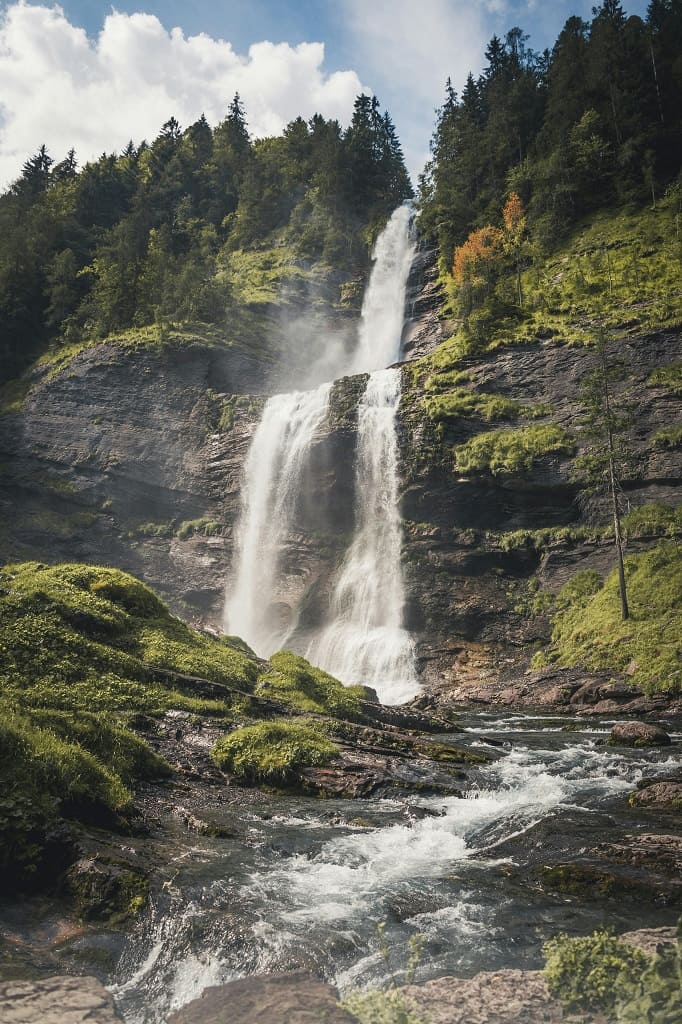 cascade_rouget