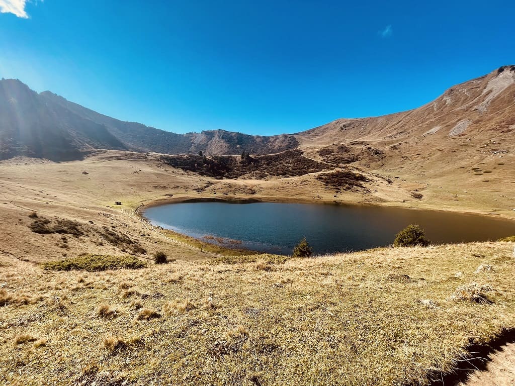 lac_roy