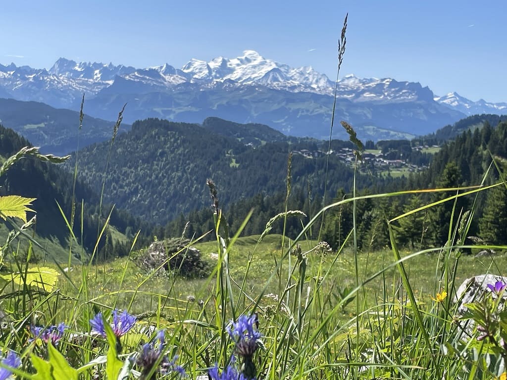 mont_blanc