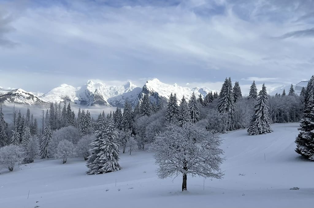 paysage