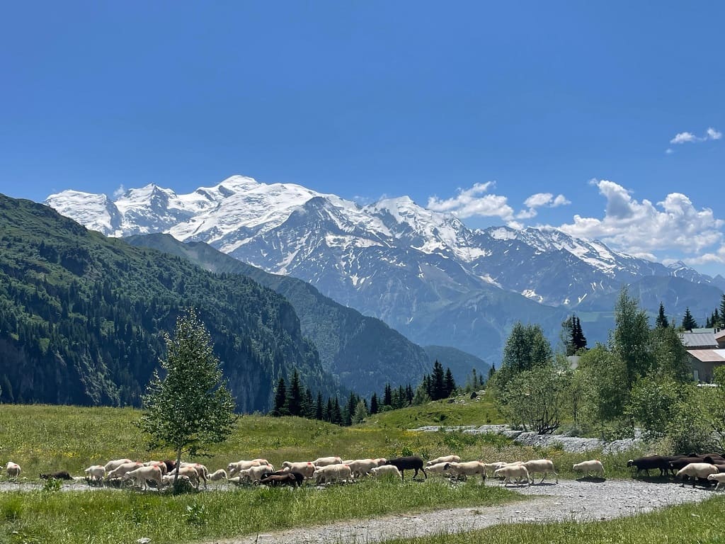 Tour du Mont-Blanc